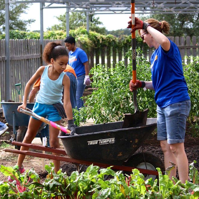 Green Corn Project wheelbarrow