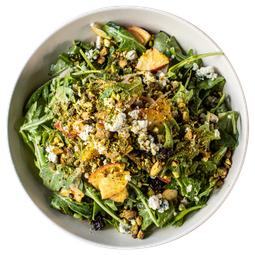 Pubs Salads Texas Waldorf 1
