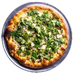 Austin pinthouse pizza brewery specialty pies armadillo pizza
