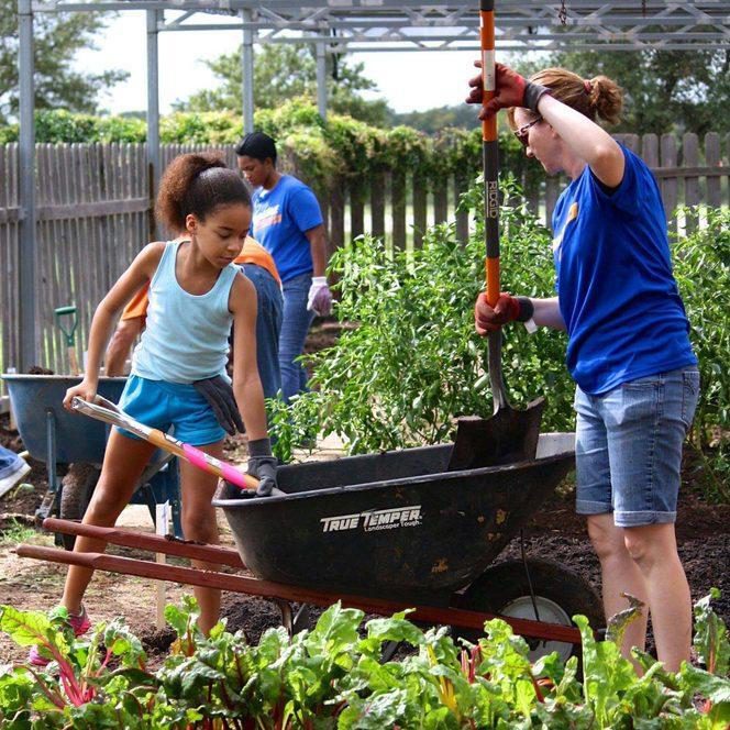 Pinthouse pizza philanthropy pinthouse brewing donations green corn project wheelbarrow